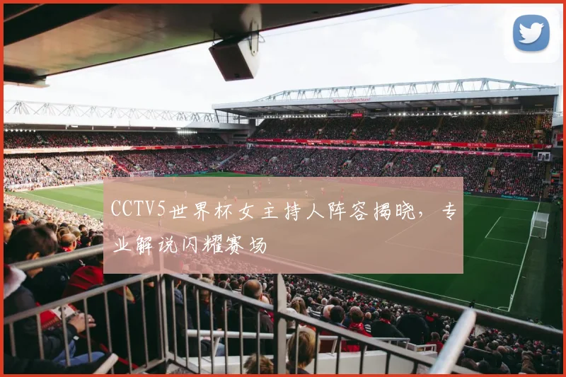 CCTV5世界杯女主持人阵容揭晓,专业解说闪耀赛场