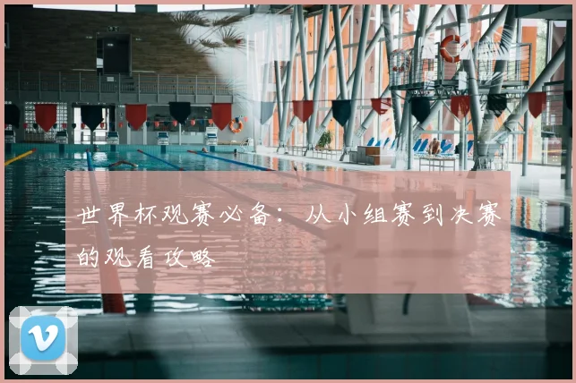 世界杯观赛必备：从小组赛到决赛的观看攻略