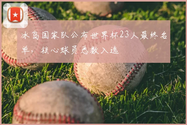 冰岛国家队公布世界杯23人最终名单,核心球员悉数入选