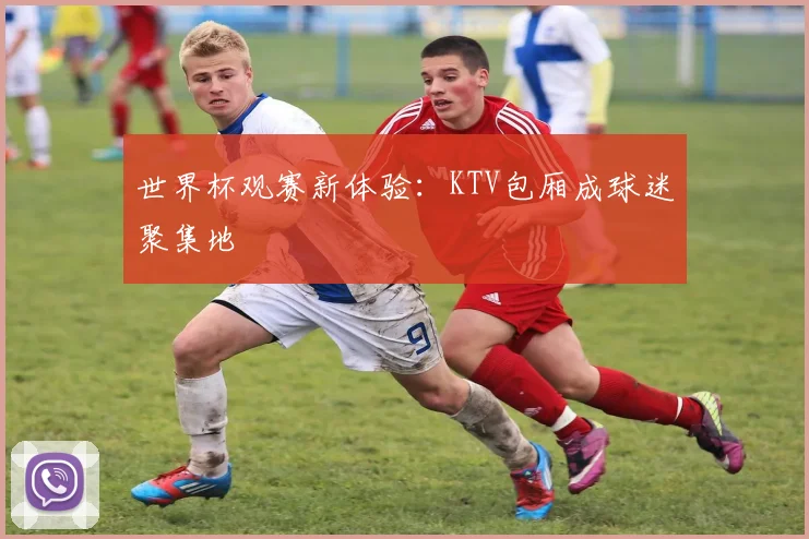 世界杯观赛新体验：KTV包厢成球迷聚集地