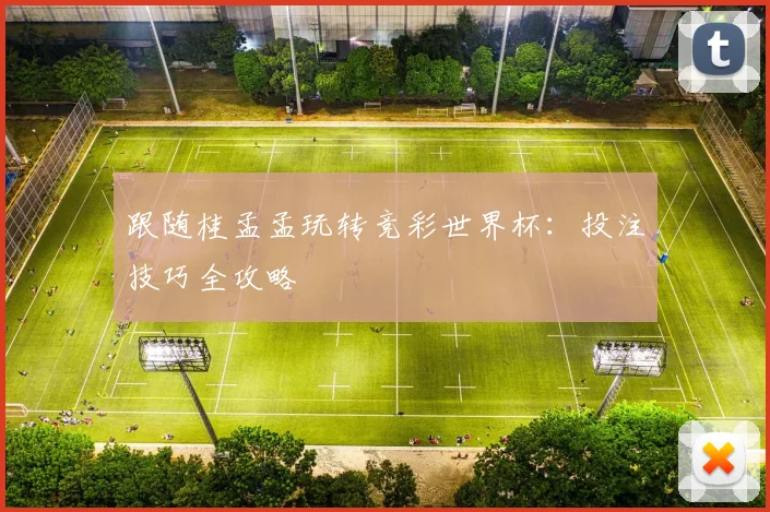跟随桂孟孟玩转竞彩世界杯：投注技巧全攻略