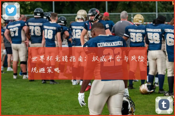 世界杯竞猜指南：权威平台与风险规避策略