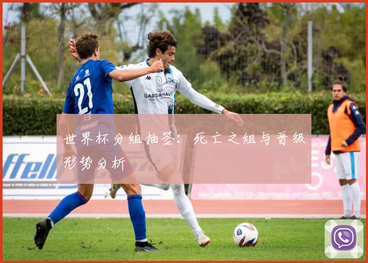 世界杯分组抽签：死亡之组与晋级形势分析