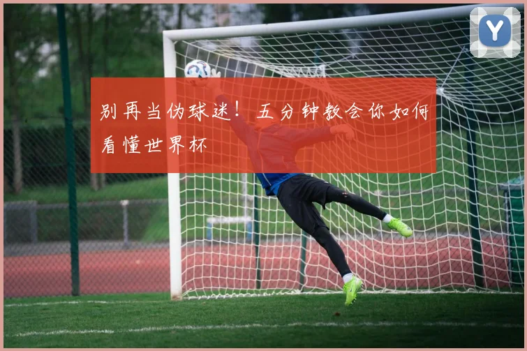 别再当伪球迷！五分钟教会你如何看懂世界杯